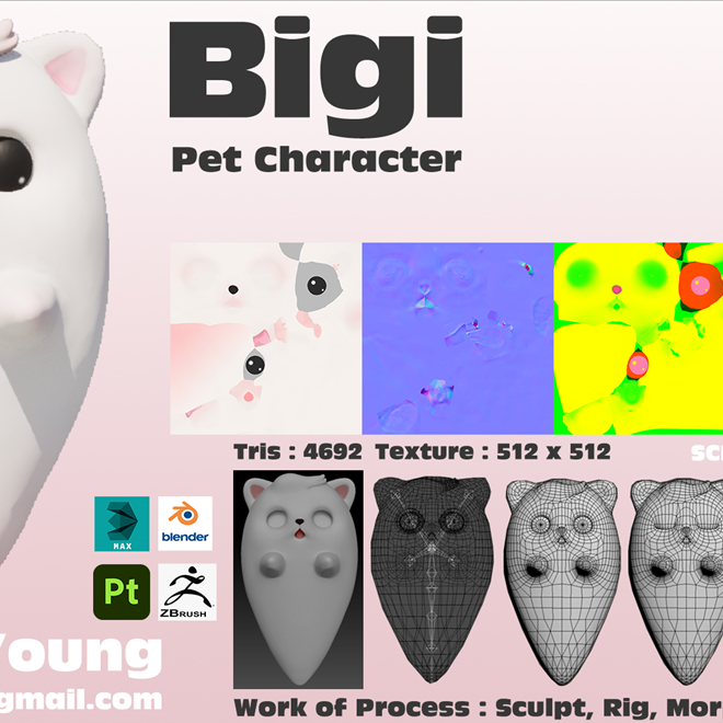 Bigi 보조 팻